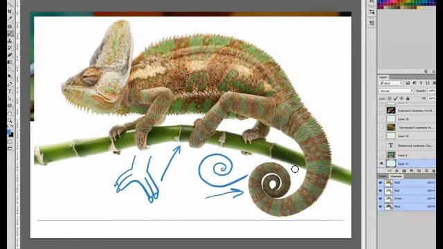 Пробная стартовая лекция О СТИЛИЗАЦИИ | LUMB.RU