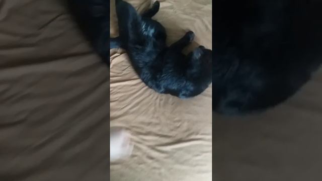 B3454f7eb3f7ce3d0cd5bb6294302508