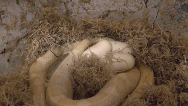 Ede5f26c8348785b0827abd20d181b66