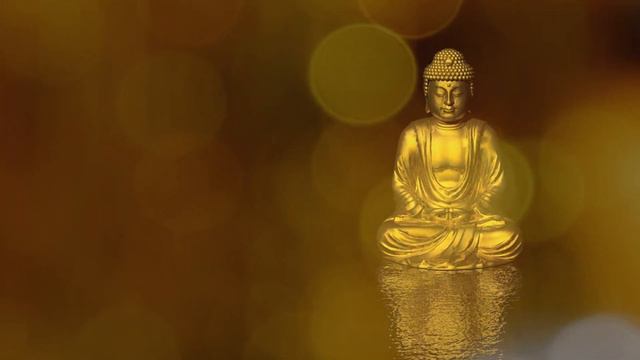 Beautiful Relaxing Yoga Music ● Ambient Music ● 15 Min Deep Sleep ● Jesse Gallagher