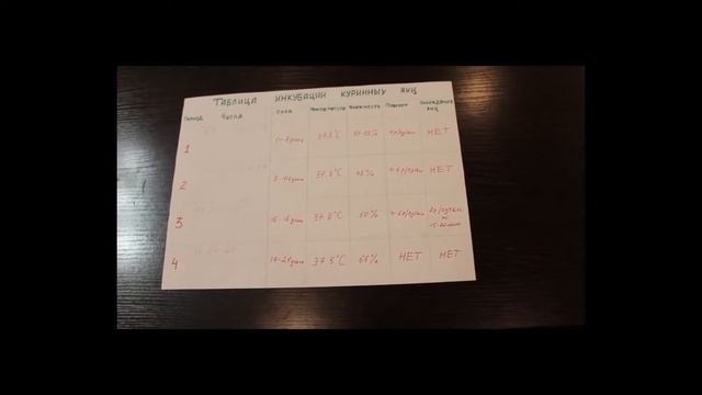 Часть 2. 10-ый дней инкубирования куриных яиц