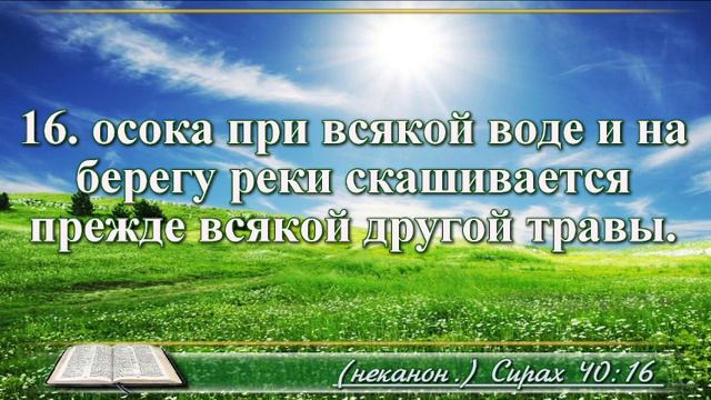 Книга премудрости Иисуса Сына Сирахова с музыкой глава 40 читаем и слушаем