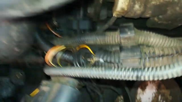 Учебник по Креативу