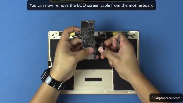 MacBook 12 Inch Retina Disassembly And Repair Guide - By 365