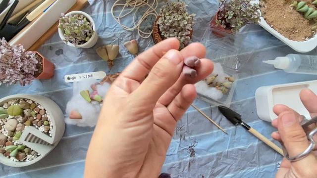 2fe667ce85edbaa3140ab556f1c61174