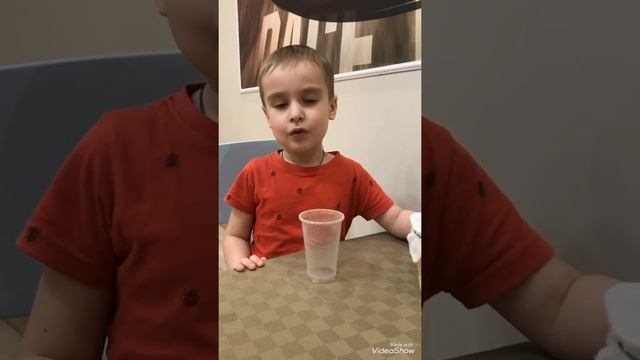 Чем я кормлю маленького богомола