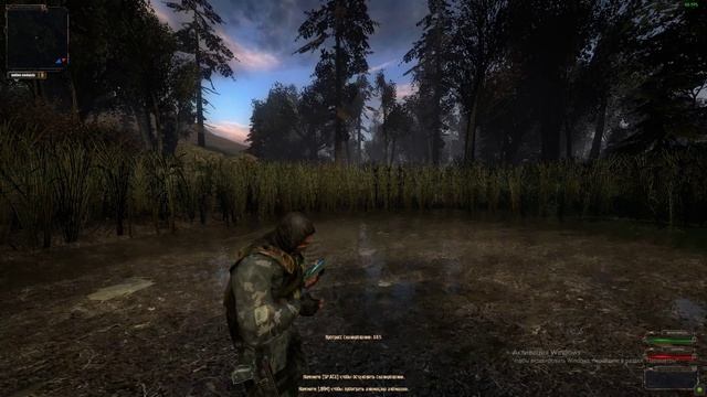 ANARCHY CELL S.T.A.L.K.E.R. RP  РП Сканер аномальной активности