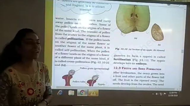 Class 7 | Science | Ch 12: Reproduction In Plants | Part2 | Ncert