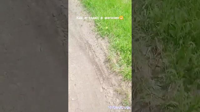 Cba68497d26d5ca45852fd273095541d