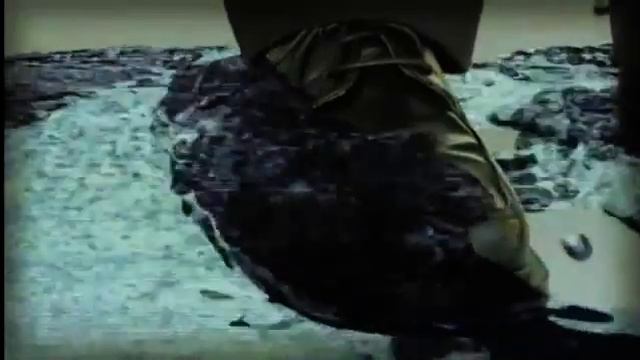 Monopoly (Монополия)