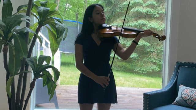 Veracini Violin Sonata In E Minor