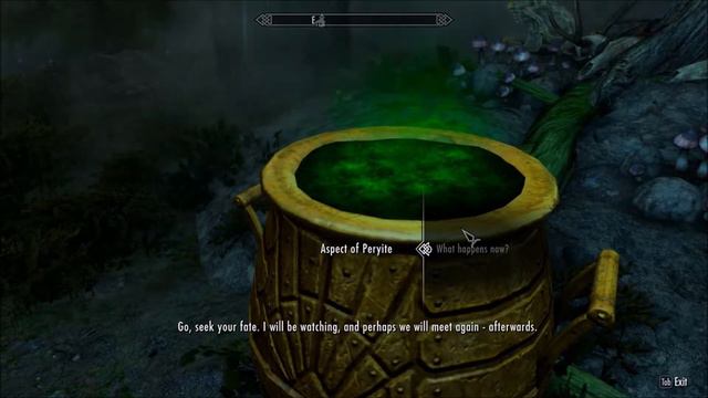 Skyrim SE: Breton Mage Charity Stream