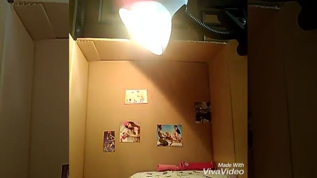 Дом из коробки своими руками для кукол