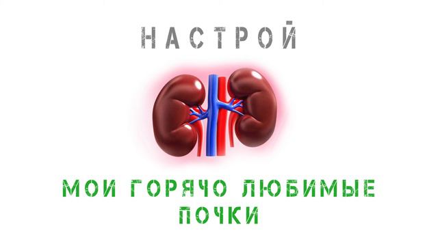 Мои горячо любимые почки - настрой Г.Н. Сытина