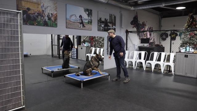 A08d6fba0bf667cd4cfc1ba469f26bc9