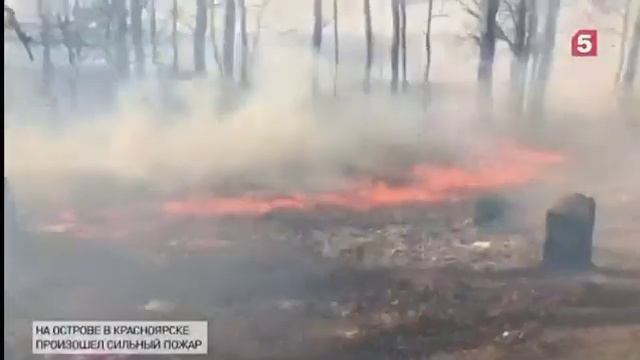 МЧС России призывает  граждан соблюдать требования пожарного законодательства