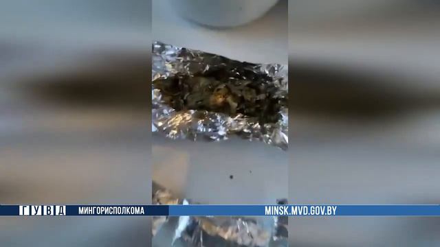 Минчанин выращивал в квартире коноплю под видом помидоров и микрозелени