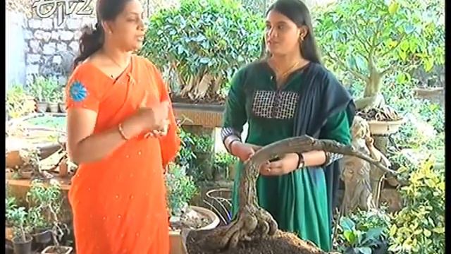 Sakhi   5th January 2014