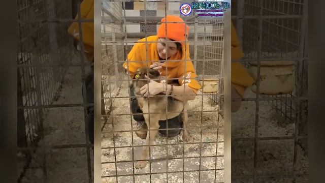 Боремся не только с несправедливостью, жестокостью, болезнями, травмами, но и с паразитами!✊