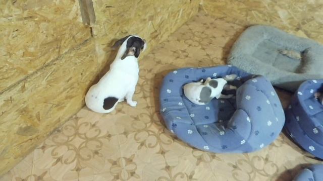 3a630a282c21f5e03d611c19b367bd48