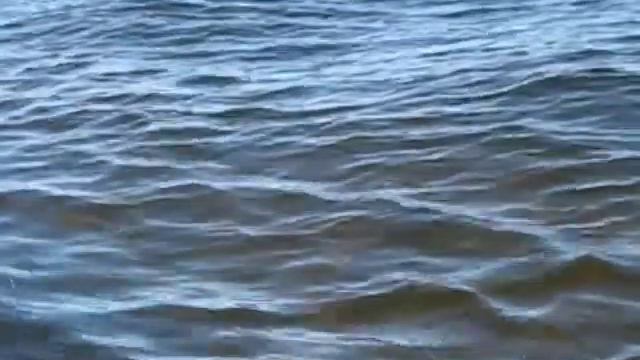 42c6e1e92f179560e45509d433ef2586