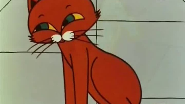 Rutube_account_115373