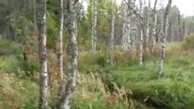 Yamaha WR450F R Tune Mudding N Washing