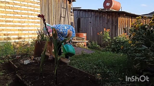 747.06.10.23.Посадка цветов многолетников.👩🌹🍀🍀🍀
