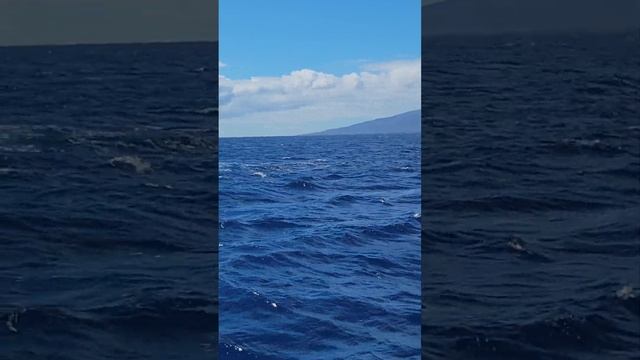 C5ad54b21d74e5f651c00bbf333831ee