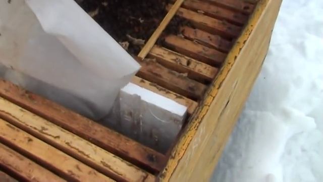 Зимовка 2019 Утепление и влажность