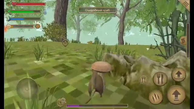 играю в симулятор мыши