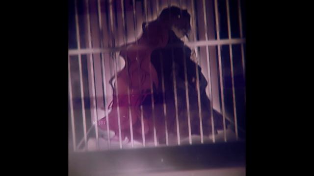 Penelope X Callisto | моя душа такая нежная