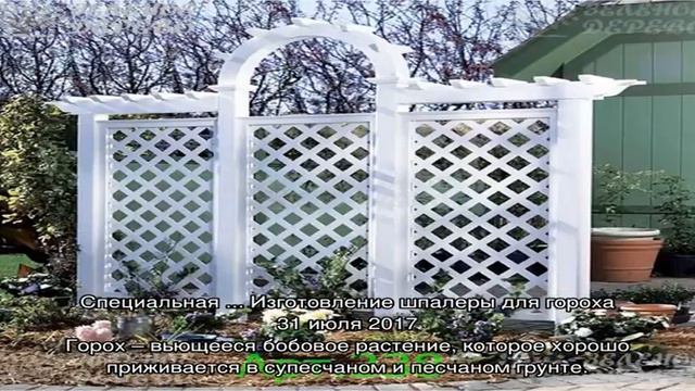 Записи с тегом 'шпалера'