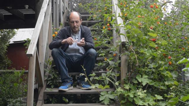 Filtro difusor niebla y sand spot FILTROS NOSTÁLGICOS Curso de fotografía 175