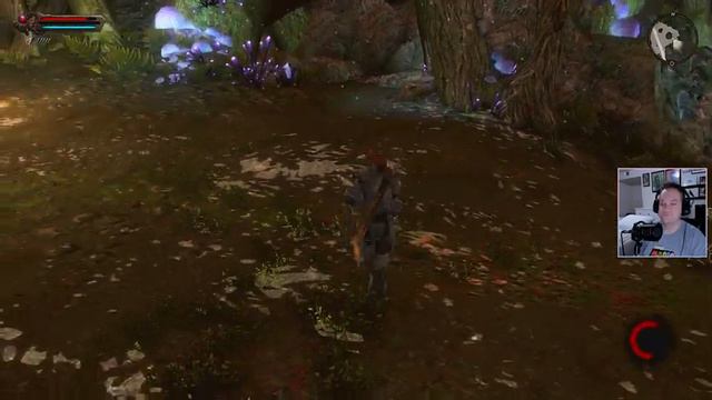 Kingdoms Of Amalur Re-Reckoning Let's Play Episode 2 On The Nintendo Switch