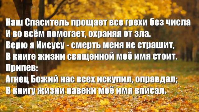 Гимны Надежды 142 Не богатство земное (минус)