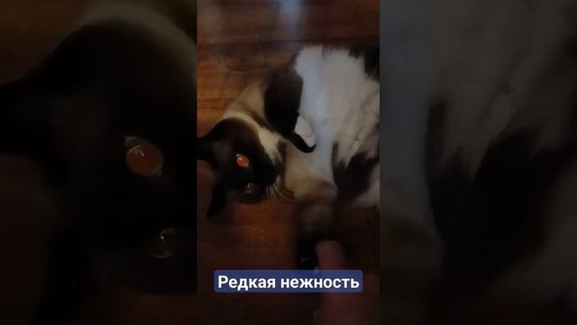 4c32f292e1b932cb78f01fe741aafe49