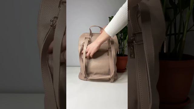 Обзор женской сумки-рюкзака #delone027