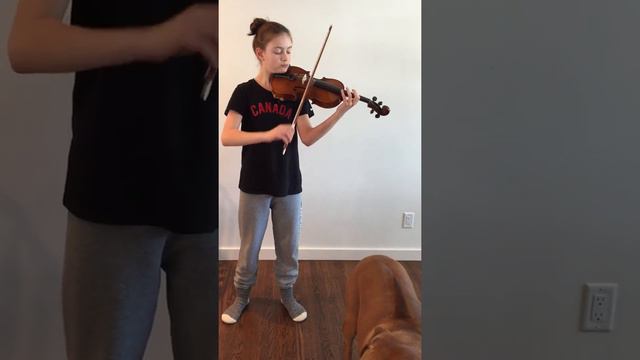 Handel Sonata No. 4 In D Major, 2nd Movement