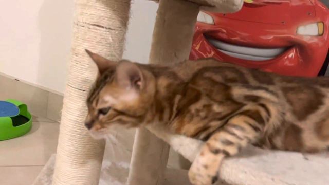 8b3671eee28dc4683f50f060b5310341