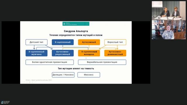 Синдром Альпорта: Врожденная патология коллагена 4 типа. Эволюция взглядов