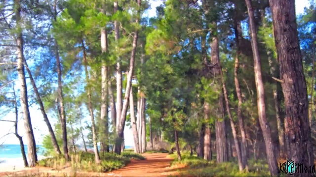 Дорога смерти Патриарха Кирилла