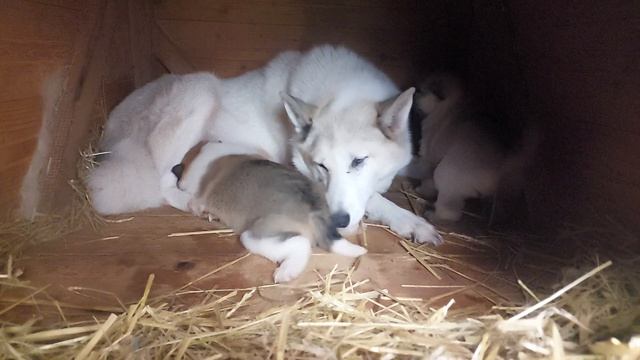 16ba947b1c04cb794d562fb872ca6a91