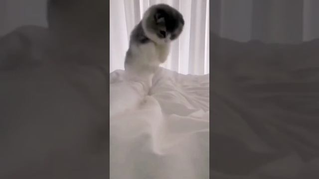 801b9b9685a8a5e4e12cbf7532265389