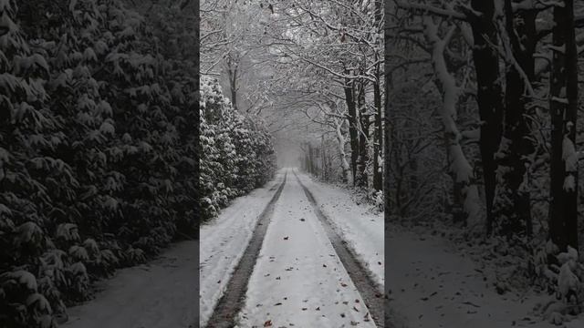 Красивая зима