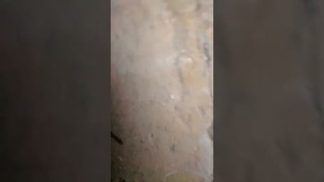 Чистка колодца