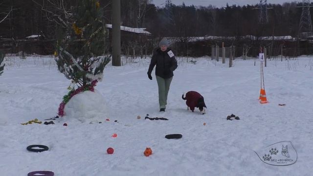 05.01.2023 г. 