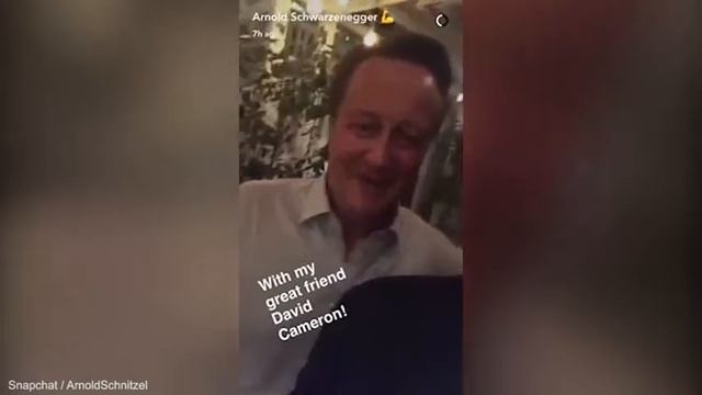 Дэвид Кэмерон и Арнольд Шварценеггер
