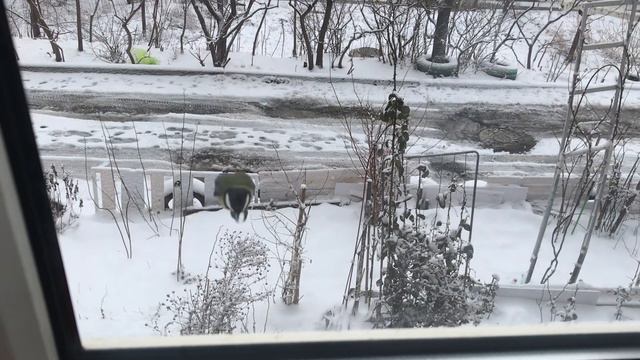 21 января 2024 г.