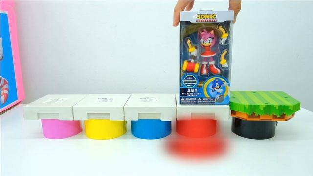 Sonic the Hedgehog and Amy Rose Unboxing Review
